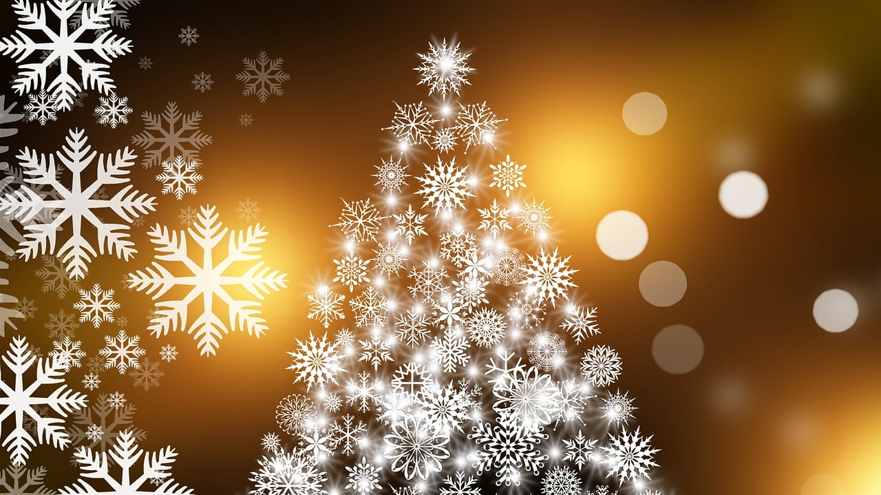 Coimbra Brilha com a Magia do Natal: Luzes e Espetáculo do Pai Natal Encantam a Cidade