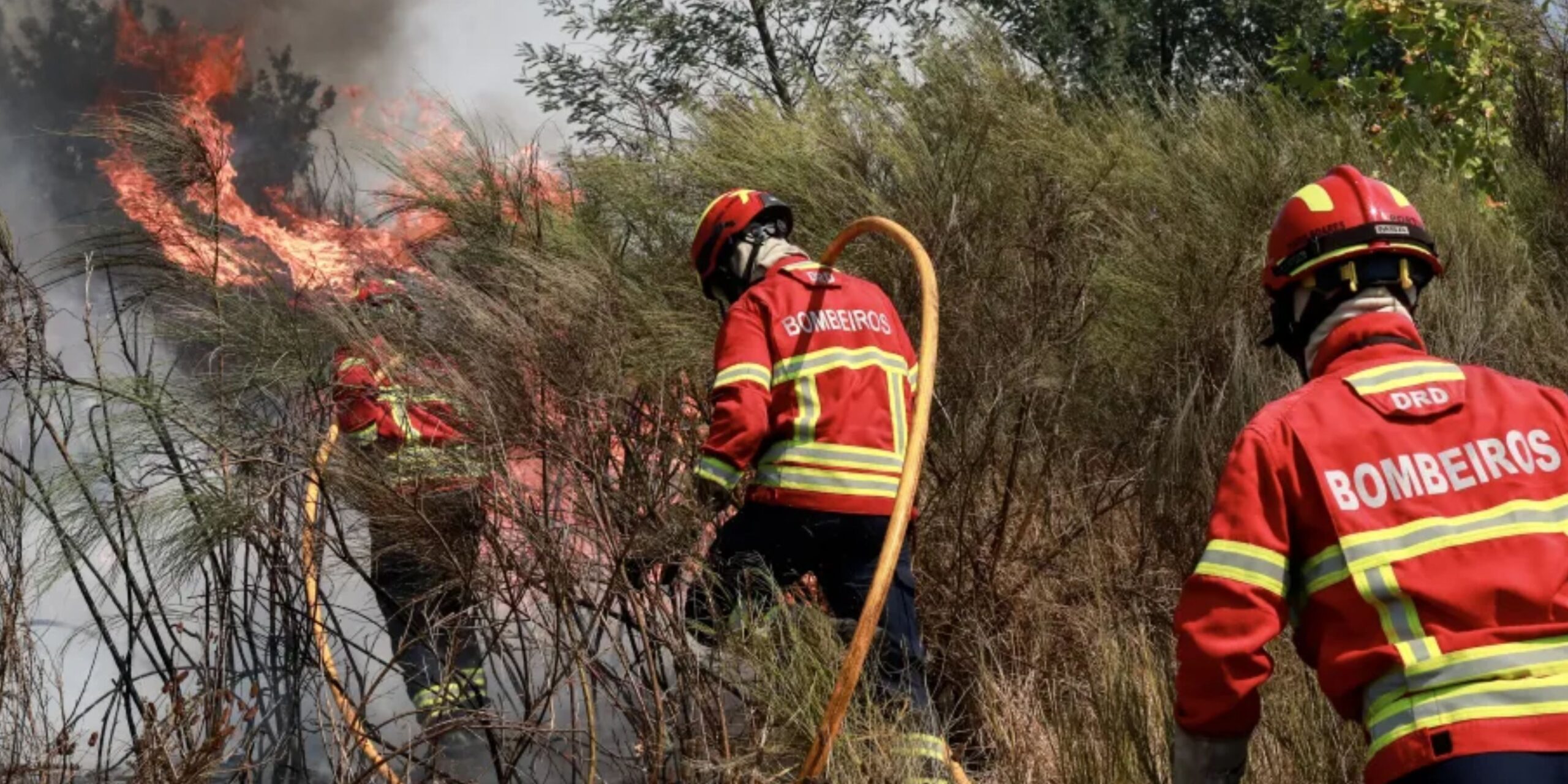 Vila Nova de Oliveirinha em Luto pela Perda de Seus Heróis