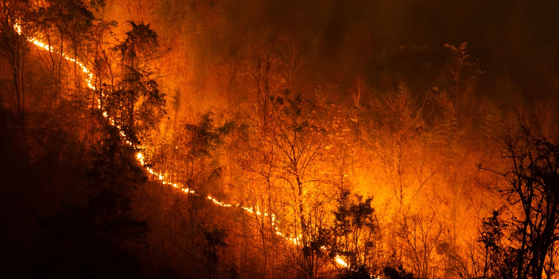 Brasileiro de 28 anos morre em incêndio florestal em Portugal