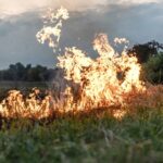 Alerta Florestal: Proibidas Queimas e Queimadas na Região de Coimbra entre Junho e Setembro