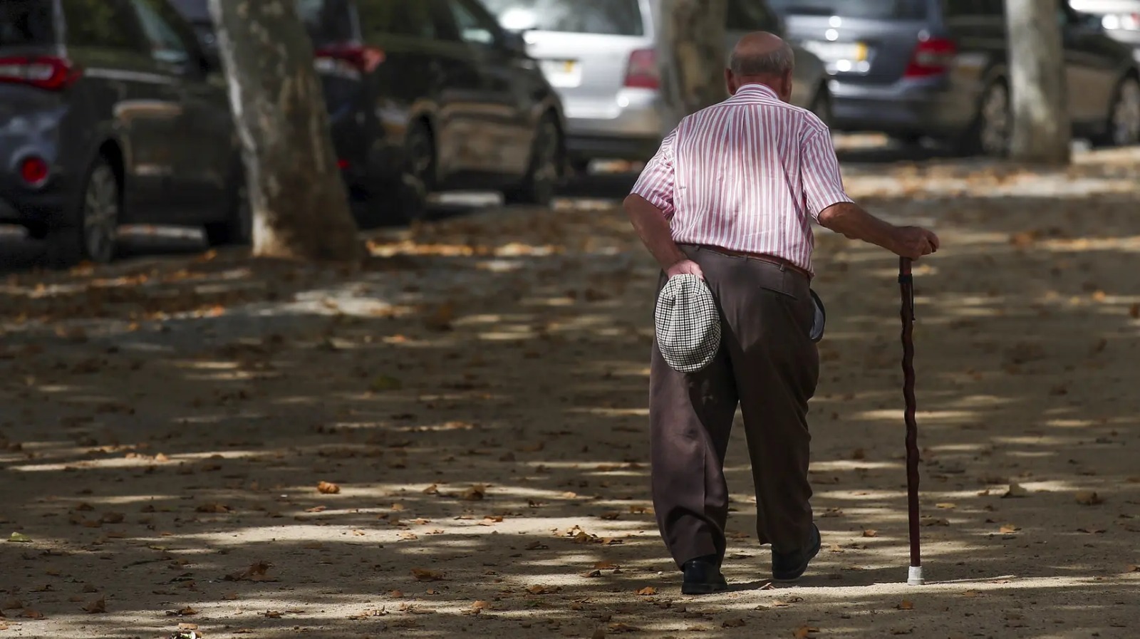 Confirmação do INE: Idade da Reforma Sobe para os 66 Anos e 11 Meses em 2027