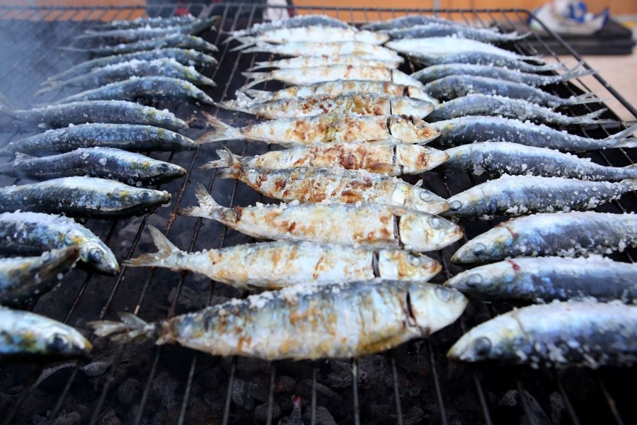 Santos Populares à Beira-Rio: Festival das Sardinhas Regressa ao Parque Manuel Braga em Coimbra