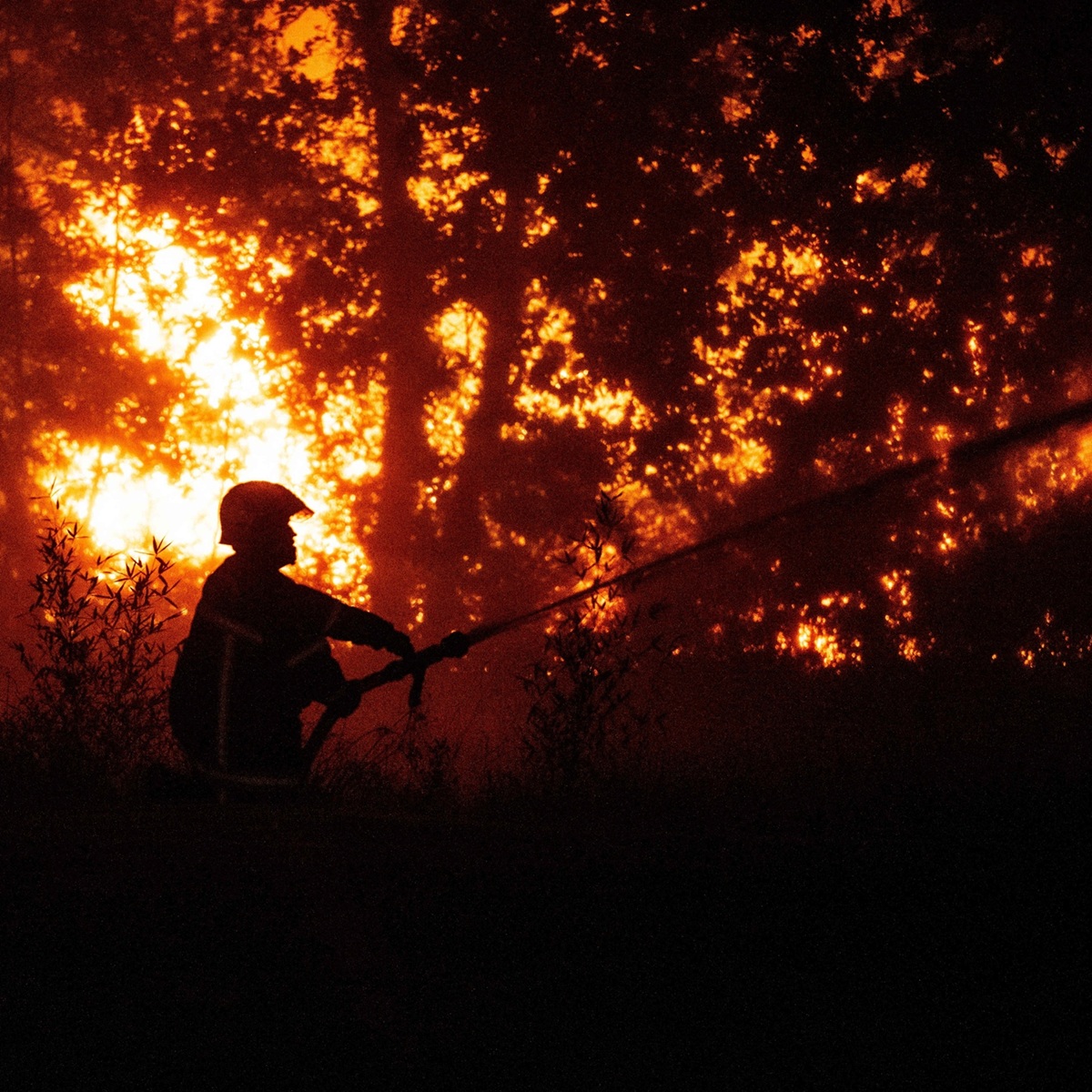 Incêndio em França provoca maior evacuação desde a Segunda Guerra Mundial e ameaça Bordéus