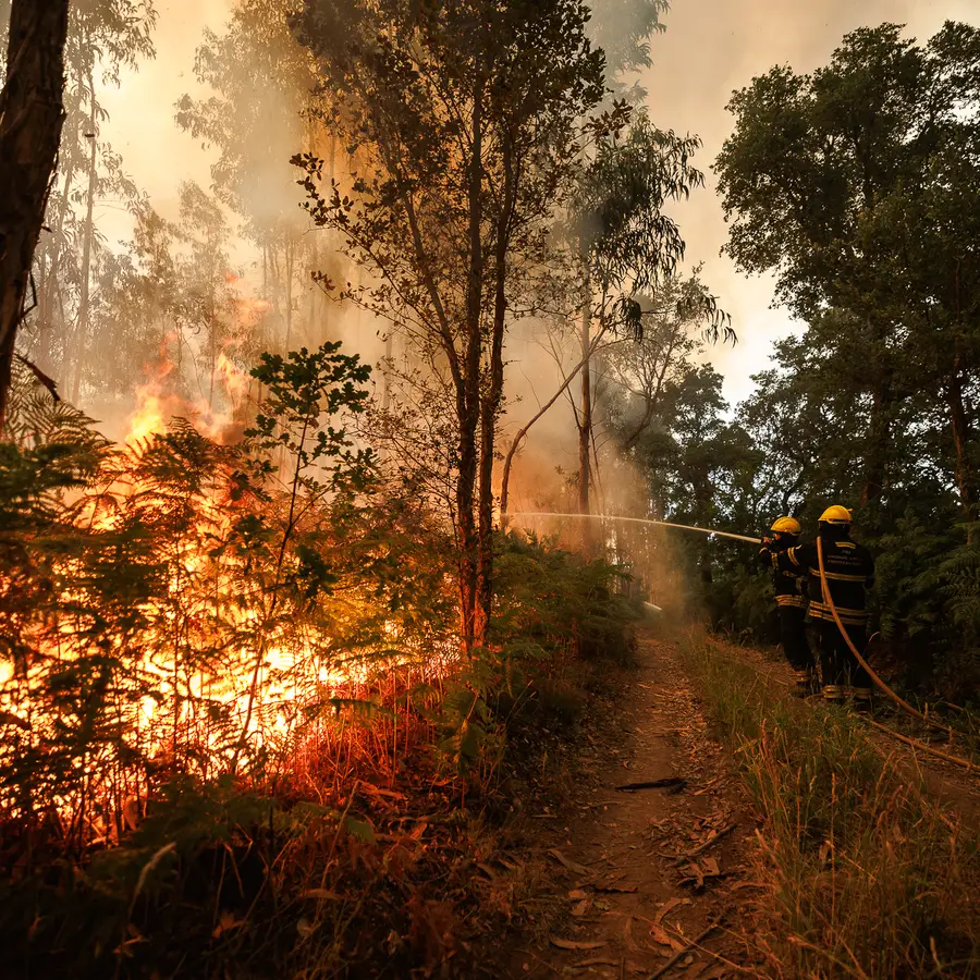 Incêndios continuam a mobilizar milhares de operacionais em Portugal; alerta poderá ser prolongado