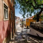 Microclimas Urbanos: Asfalto em Lisboa Atinge 58,3°C e Estudo Prova o Poder Clínico da Sombra