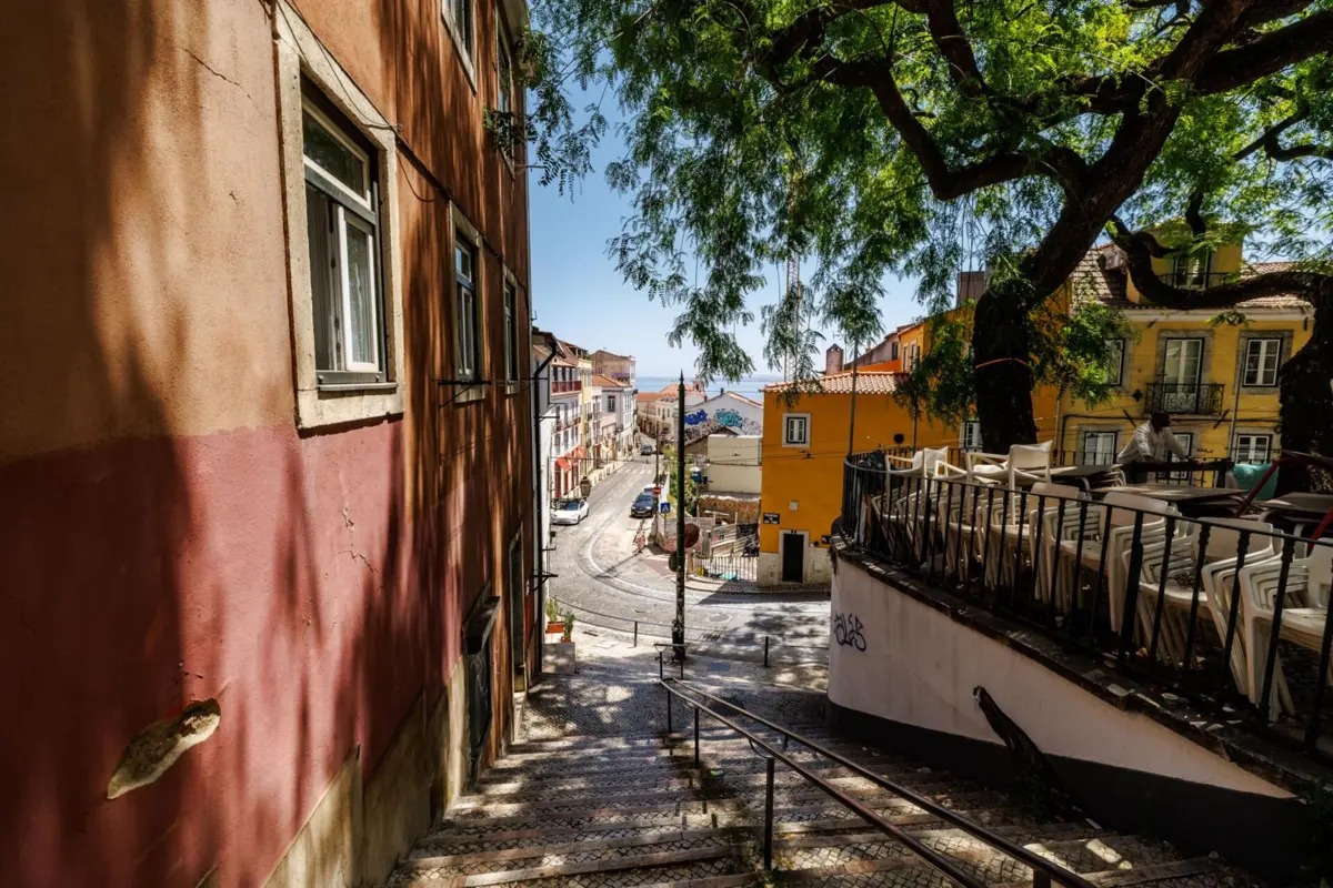 Microclimas Urbanos: Asfalto em Lisboa Atinge 58,3°C e Estudo Prova o Poder Clínico da Sombra