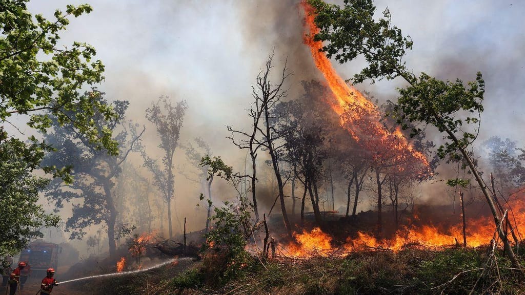 Incêndio em Rio Maior Mobiliza Meios Massivos e Ameaça Habitações em Cabeça Gorda