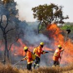 Alerta Laranja/Vermelho: O Roteiro de Tolerância Zero ao Fogo para Proteger as Nossas Aldeias