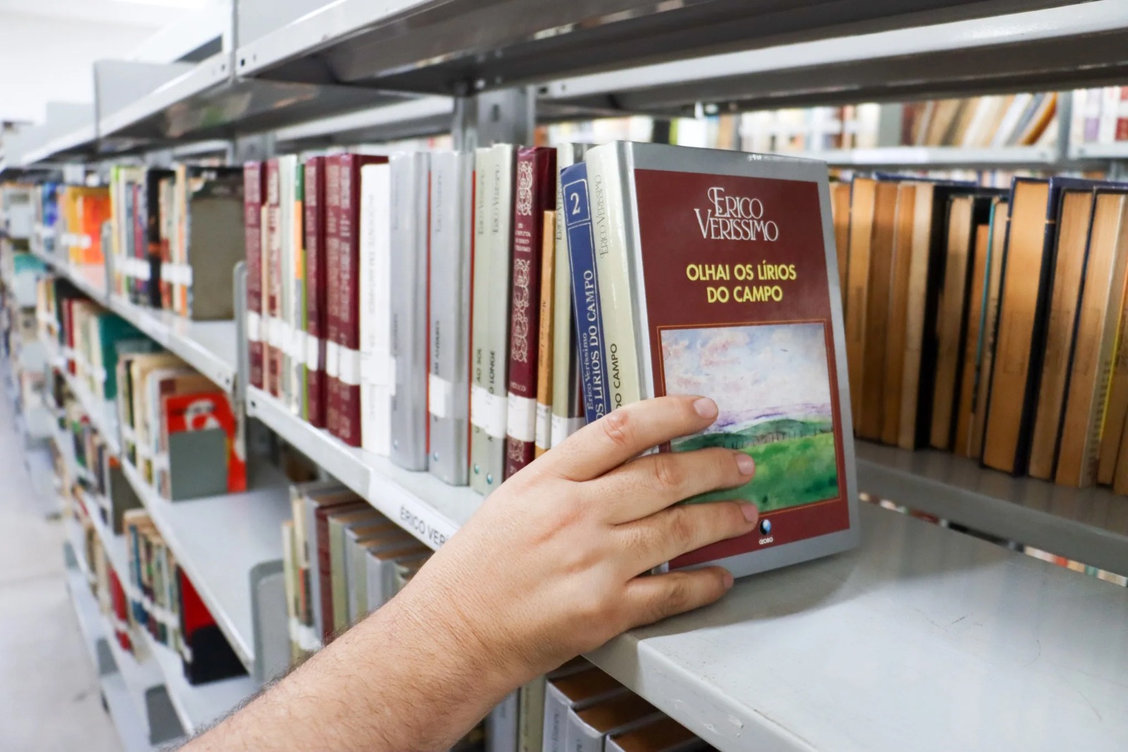 Verão à Varanda da Sereia: Biblioteca de Coimbra Lança Oficinas Gratuitas para Crianças (6 aos 14 Anos)