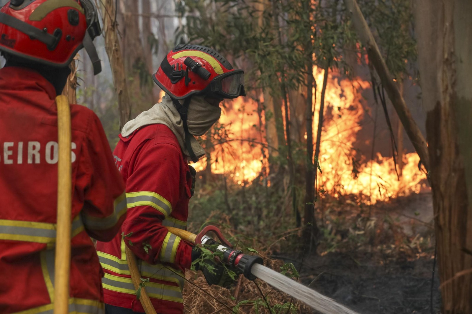 Perigo de Incêndio Agrava-se em Portugal: Quase Todo o País sob Alerta Máximo e Muito Elevado até Segunda-Feira