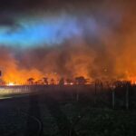 Incêndio Devastador na Guarda Consome Mais de 5 Mil Hectares e Deixa Rasto de Destruição