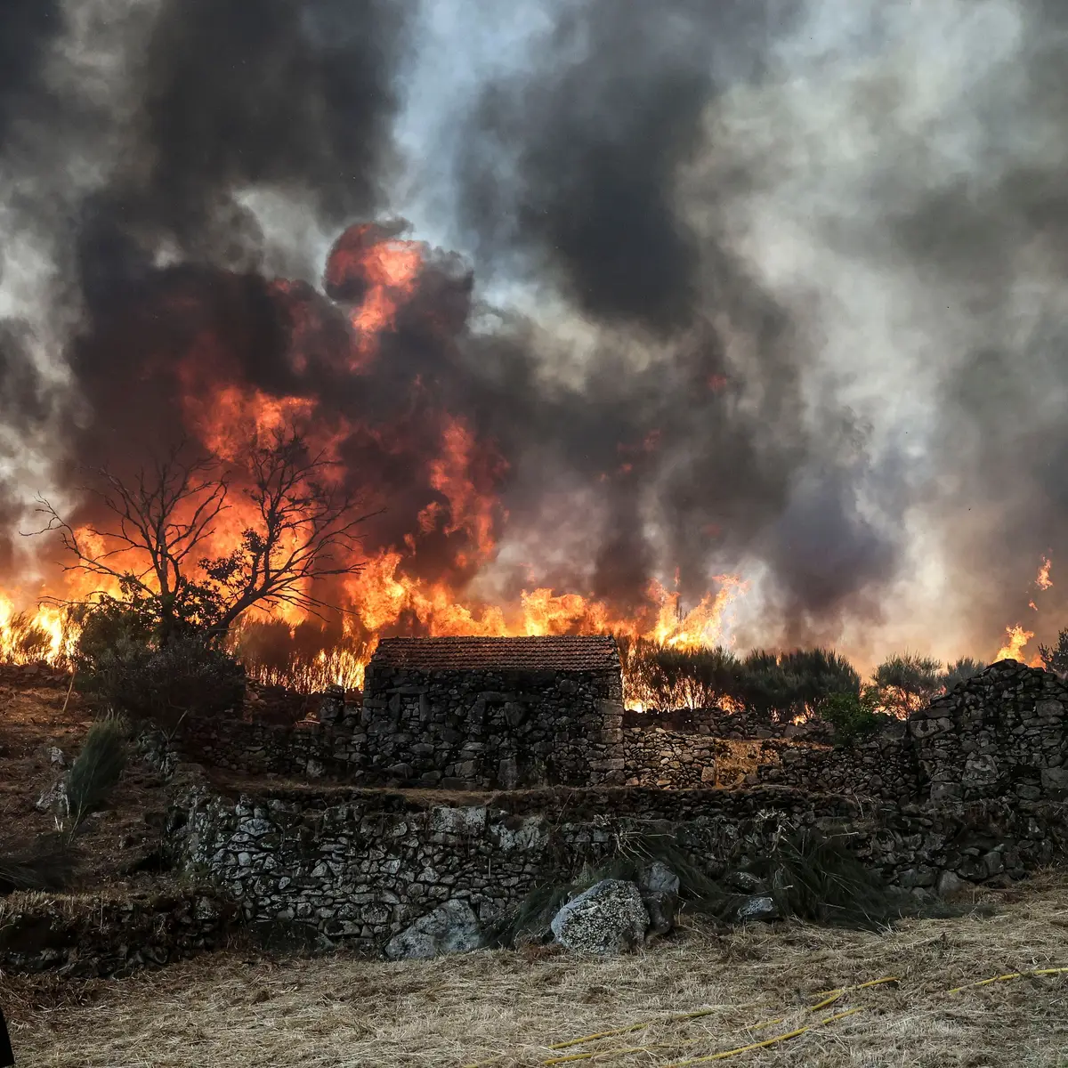 Incêndio de Vouzela avança para Águeda, atinge anexos e casas desabitadas e mobiliza grande operação