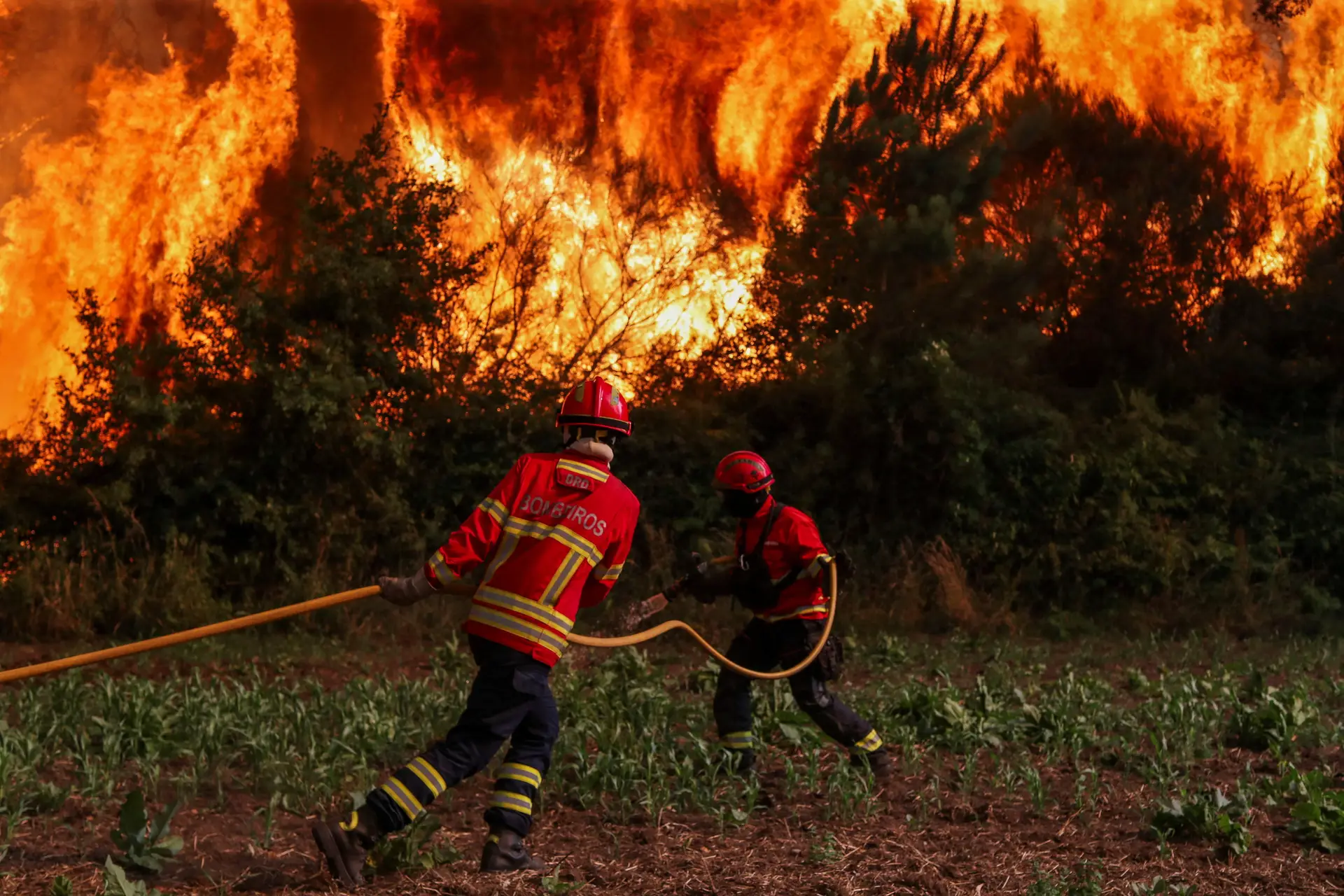 Portugal entra em alerta para incêndios com risco máximo em grande parte do país