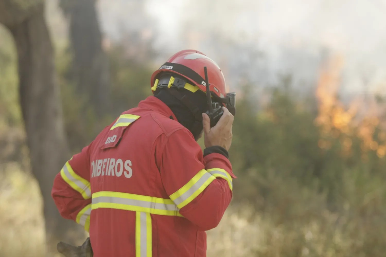 Risco Máximo de Incêndio Rural Atinge Interior Norte, Centro e Algarve