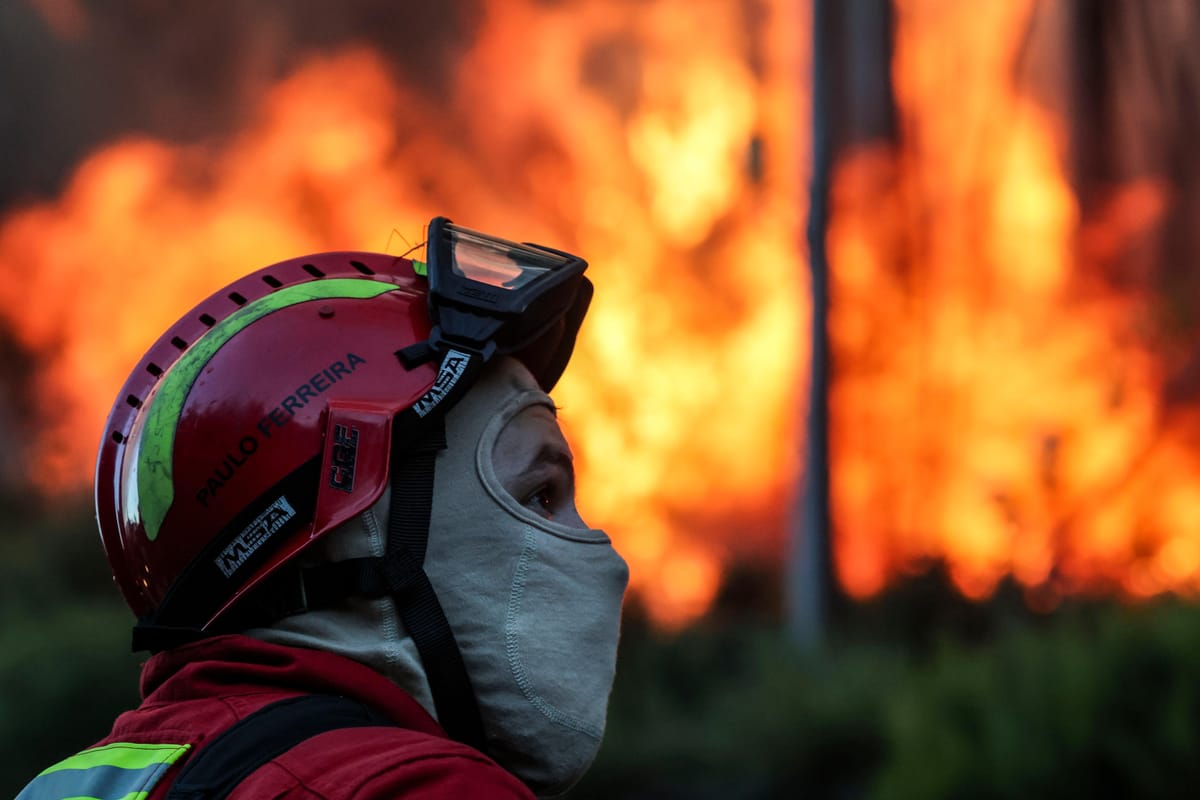 Três incêndios começam ao mesmo tempo em Coimbra e chamas ameaçam habitações