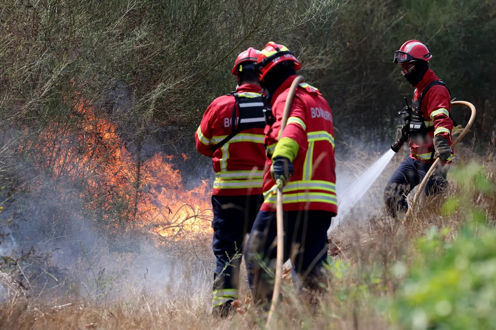 Calor e Risco de Incêndio: O Que É Proibido em Dias de Perigo Muito Elevado ou Máximo