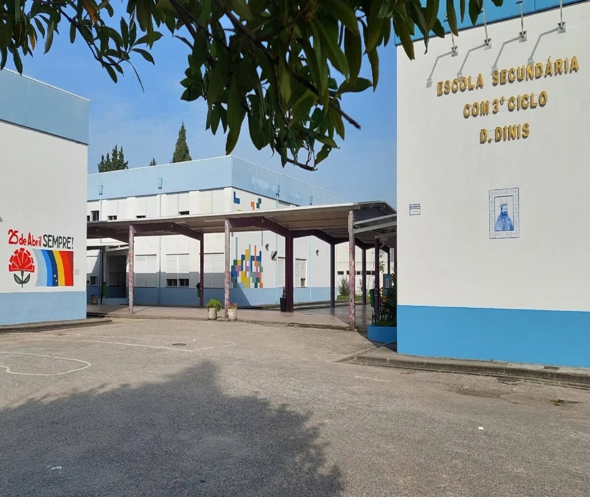 Jovem Agredido por Familiar de Aluno na Escola Secundária D. Dinis (Coimbra)
