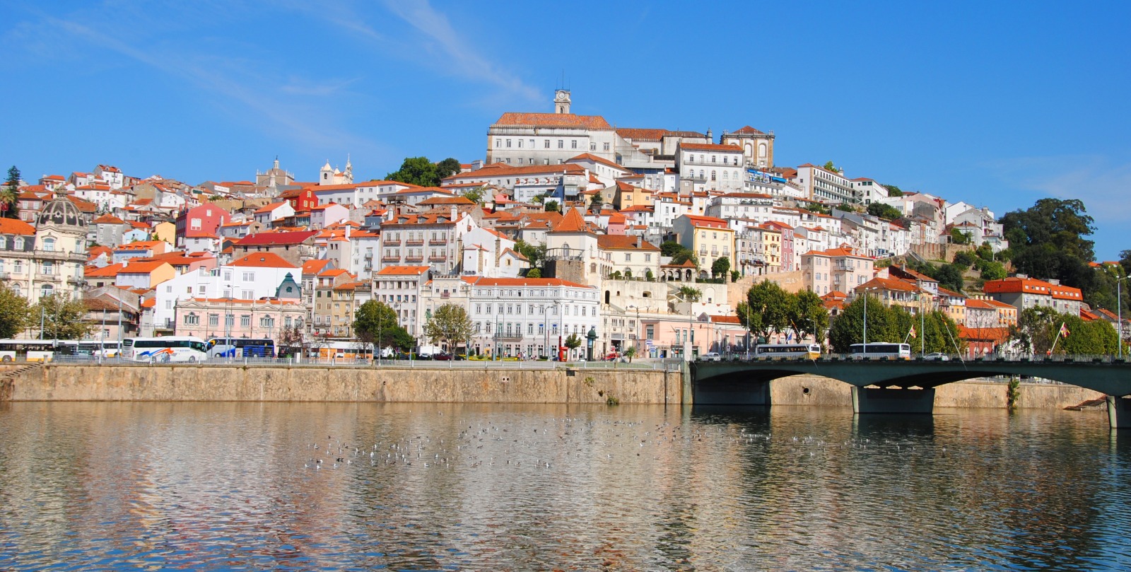 Coimbra no Top 15 Nacional: O Retrato da Imigração no Distrito segundo a AIMA